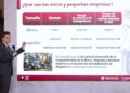 SAT propone IVA de 7% para mipymes y simplifica trámites
