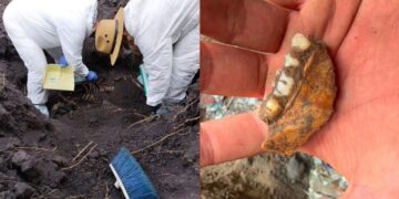 Autoridades investigan origen de mil 600 dientes de leche hallados en Zacapu, Michoacán