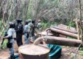 Operativo en Michoacán y Guerrero: desmantelan cuatro laboratorios y aseguran químicos
