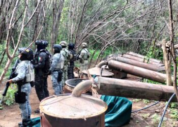 Operativo en Michoacán y Guerrero: desmantelan cuatro laboratorios y aseguran químicos