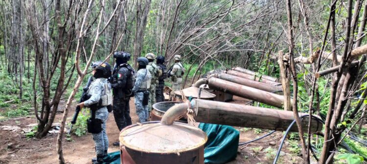 Operativo en Michoacán y Guerrero: desmantelan cuatro laboratorios y aseguran químicos