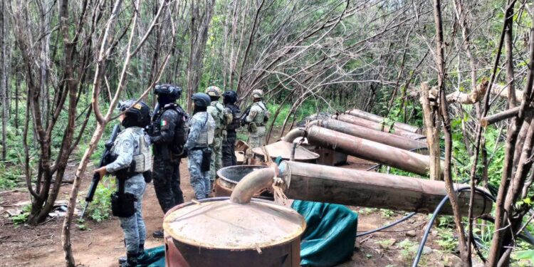 Operativo en Michoacán y Guerrero: desmantelan cuatro laboratorios y aseguran químicos