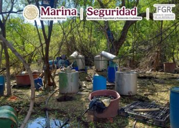 Inhabilitan laboratorio de drogas sintéticas en Elota; aseguran más de 92 kilos de precursores
