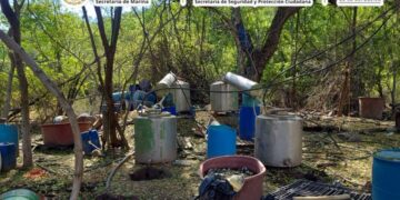Inhabilitan laboratorio de drogas sintéticas en Elota; aseguran más de 92 kilos de precursores