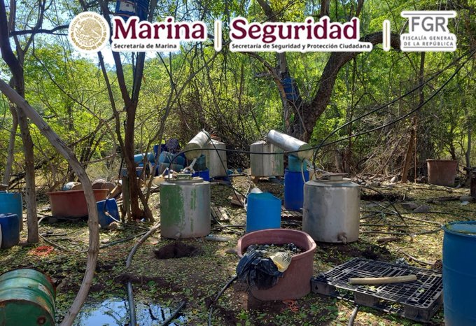 Inhabilitan laboratorio de drogas sintéticas en Elota; aseguran más de 92 kilos de precursores