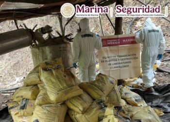 Aseguran metanfetamina y precursores químicos en laboratorio clandestino de Durango