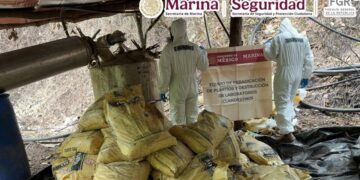 Aseguran metanfetamina y precursores químicos en laboratorio clandestino de Durango