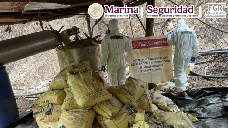 Aseguran metanfetamina y precursores químicos en laboratorio clandestino de Durango