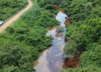 Contaminación del río Chacalapa paraliza la pesca y afecta a 40 familias en Veracruz.