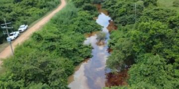 Contaminación del río Chacalapa paraliza la pesca y afecta a 40 familias en Veracruz.