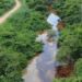 Contaminación del río Chacalapa paraliza la pesca y afecta a 40 familias en Veracruz.